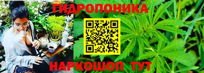 таблы Кимры