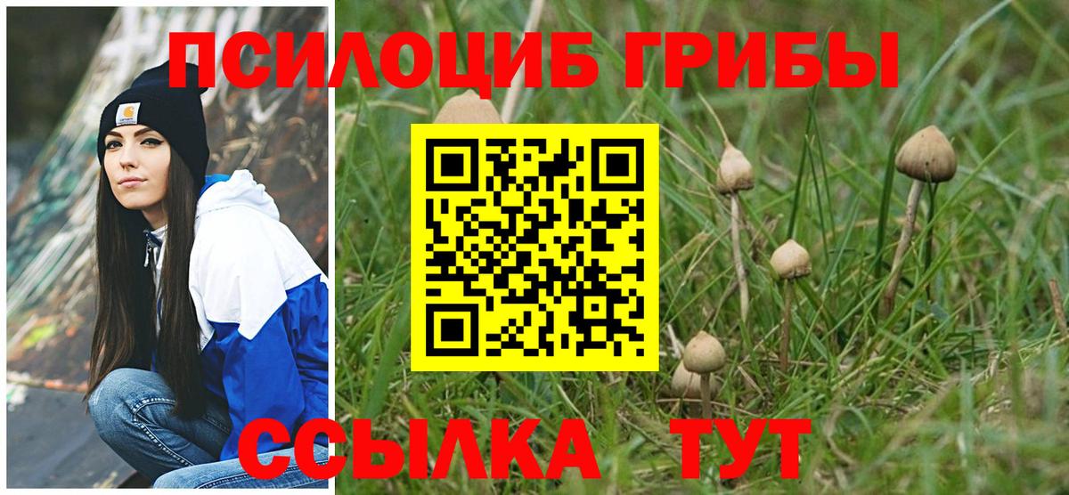 Псилоцибиновые грибы прущие грибы Арзамас